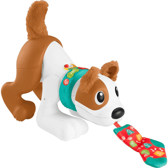 Fisher price  Crawl With Me Puppy Baby Learning Toy 123 Dog distressed box - Picture 1 of 8